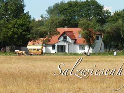 Salzwiesenhof
