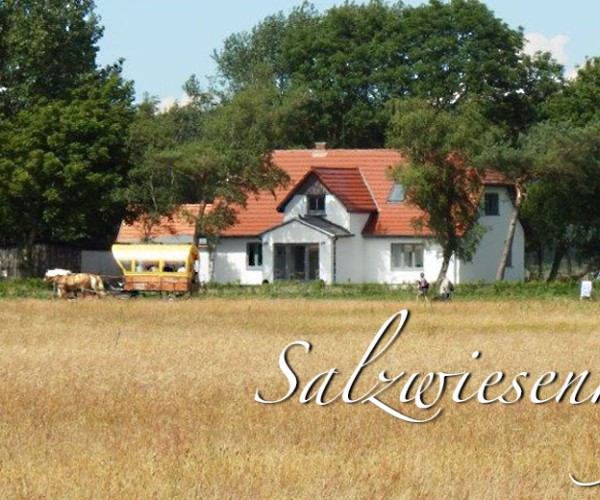 Salzwiesenhof