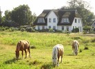 Haus Mühlstein